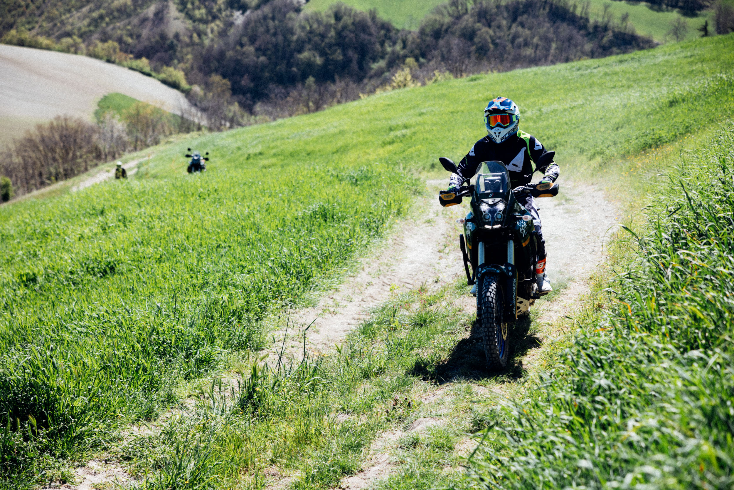 Frontiera NoNorth + Buz - immagine 2