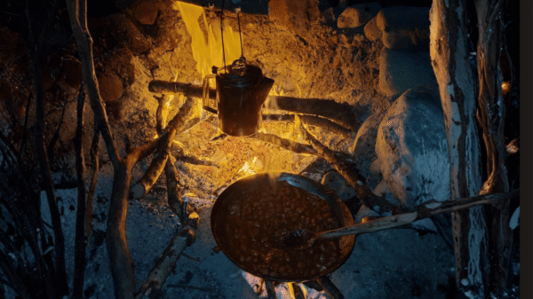 Bushcraft con Wild Emilia Experience