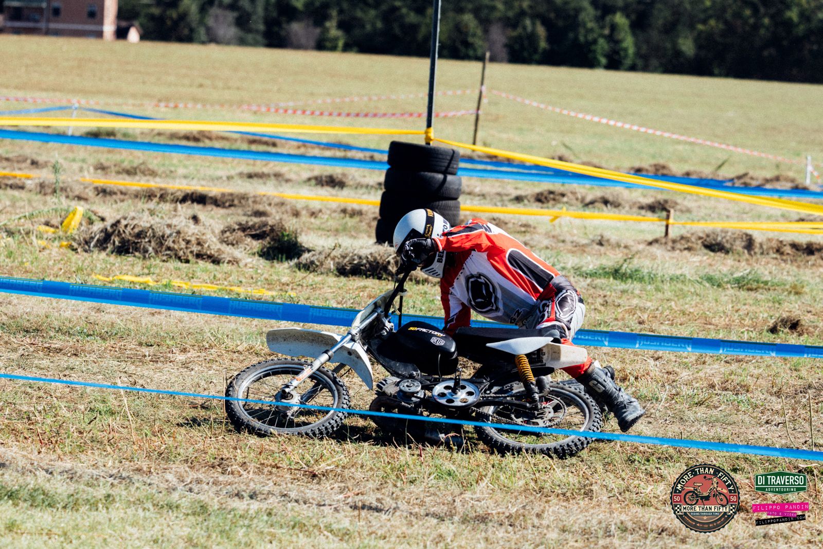 More Than Fifty - immagine 4