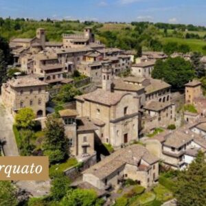 Rally dei Lupi, sulle tracce del lupo mannaro - immagine 4