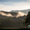 Slovenia Wild Experience: Un Viaggio Selvaggio in Moto - immagine 9