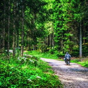 Academy - Altopiano di Asiago - immagine 5