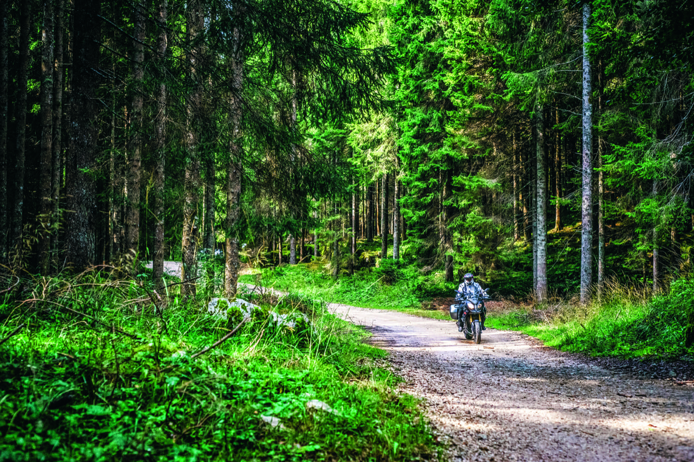 Academy - Altopiano di Asiago - immagine 5