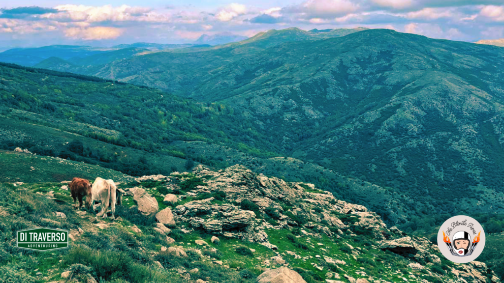 Sardinia Dust & Rocks